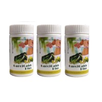 Garcicabb Plus Capsules for Weight Management  Pack of 3 